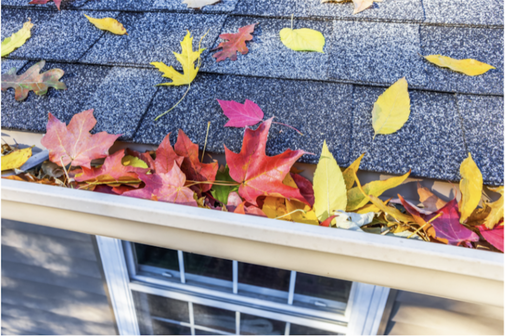 Leaf-filled Gutters in Northern Virginia's fall